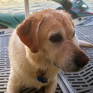 Meet your Posher, Daniel